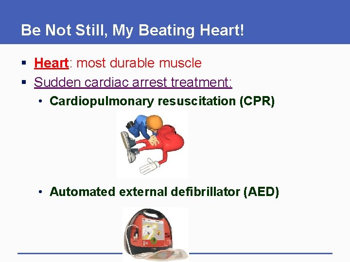 Be Not Still, My Beating Heart! § Heart: most durable muscle § Sudden cardiac