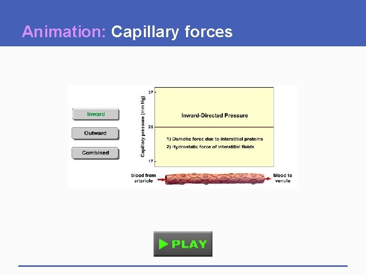 Animation: Capillary forces 