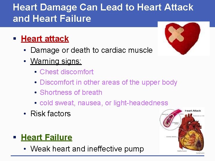 Heart Damage Can Lead to Heart Attack and Heart Failure § Heart attack •