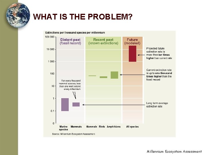 WHAT IS THE PROBLEM? Millennium Ecosystem Assessment 