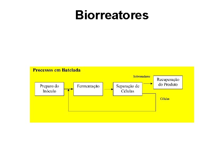 Biorreatores 