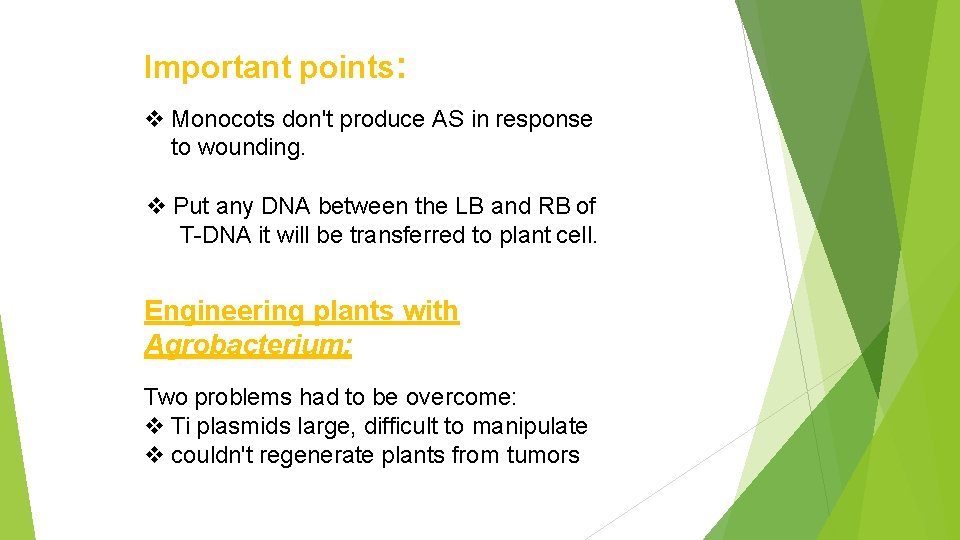 Important points: Monocots don't produce AS in response to wounding. Put any DNA between