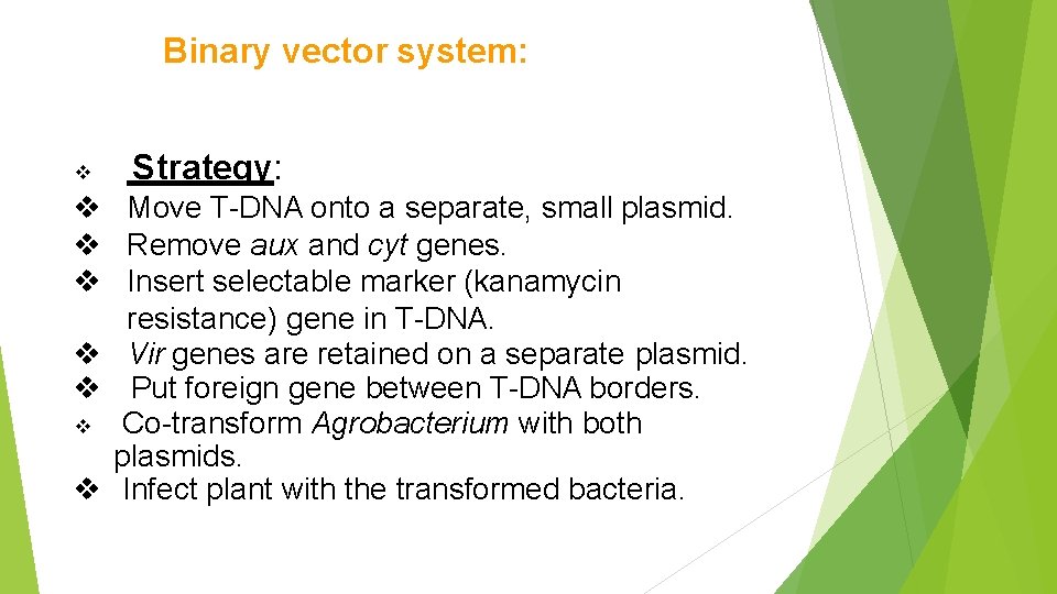 Binary vector system: Strategy: Move T-DNA onto a separate, small plasmid. Remove aux and