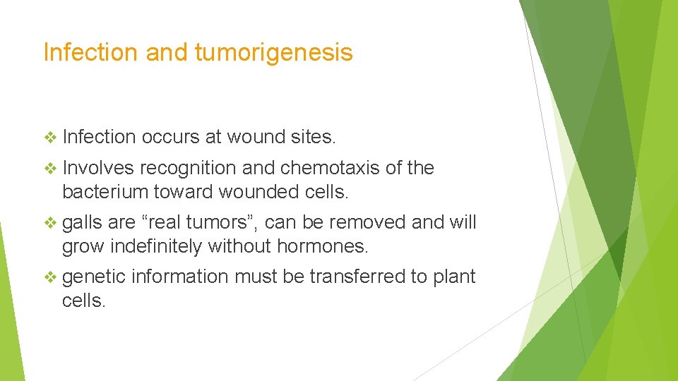 Infection and tumorigenesis Infection occurs at wound sites. Involves recognition and chemotaxis of the