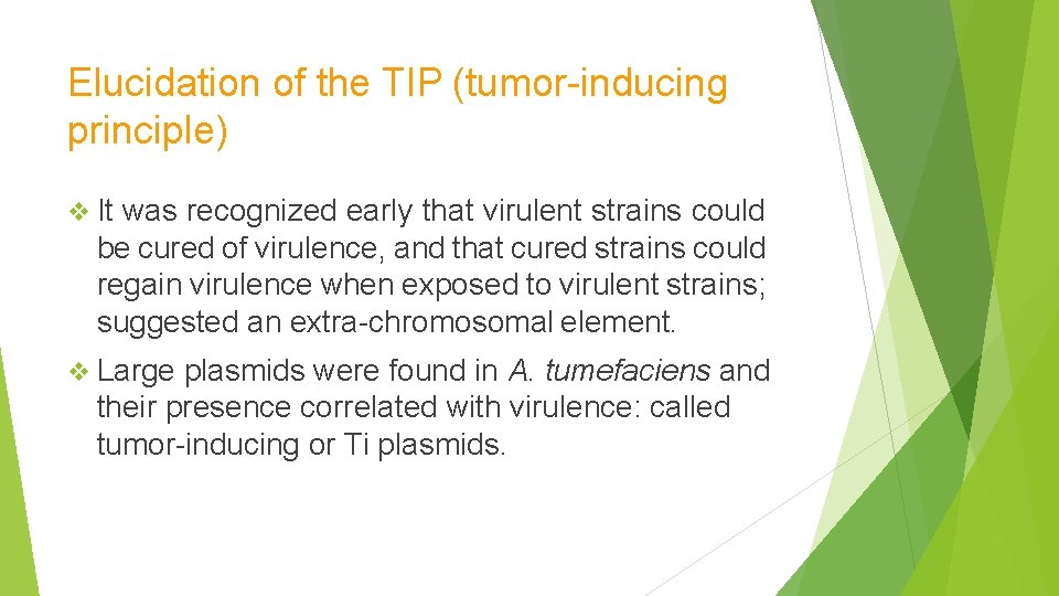 Elucidation of the TIP (tumor-inducing principle) It was recognized early that virulent strains could