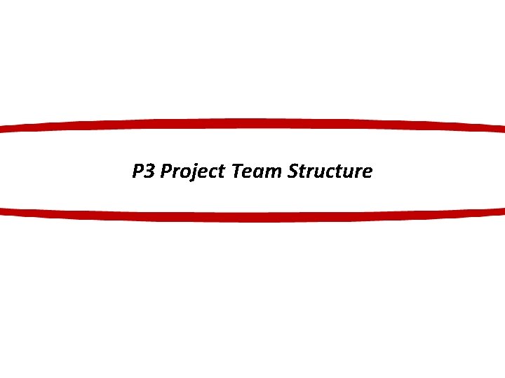 P 3 Project Team Structure 