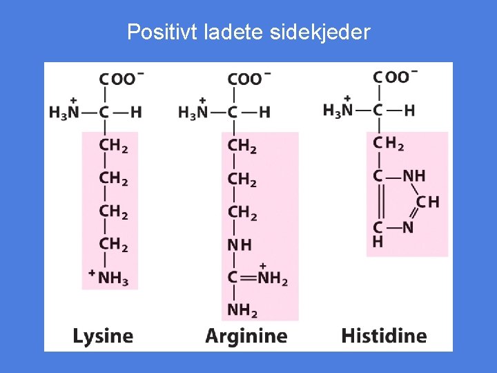 Positivt ladete sidekjeder 