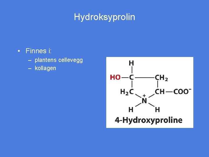 Hydroksyprolin • Finnes i: – plantens cellevegg – kollagen 