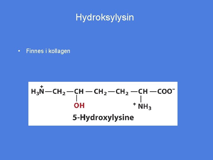 Hydroksylysin • Finnes i kollagen 