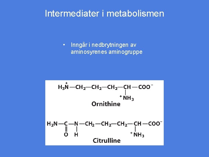 Intermediater i metabolismen • Inngår i nedbrytningen av aminosyrenes aminogruppe 
