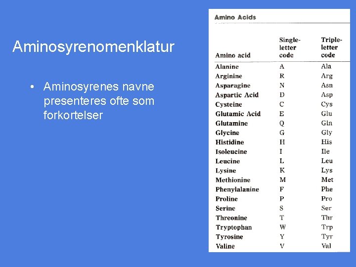 Aminosyrenomenklatur • Aminosyrenes navne presenteres ofte som forkortelser 