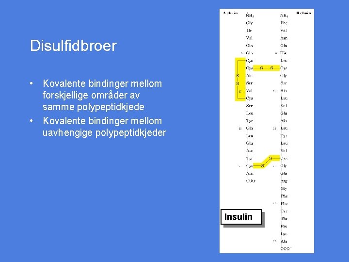 Disulfidbroer • Kovalente bindinger mellom forskjellige områder av samme polypeptidkjede • Kovalente bindinger mellom