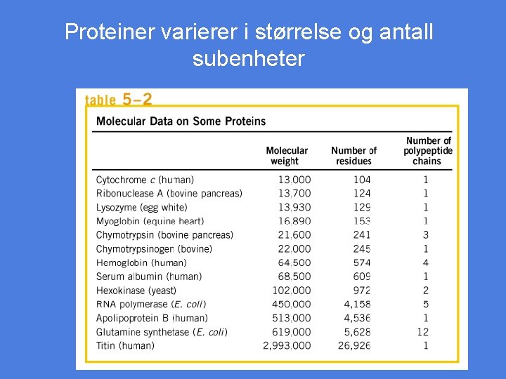 Proteiner varierer i størrelse og antall subenheter Tablee 5 -2 