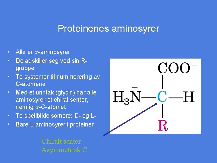 Proteinenes aminosyrer • Alle er a-aminosyrer • De adskiller seg ved sin Rgruppe •