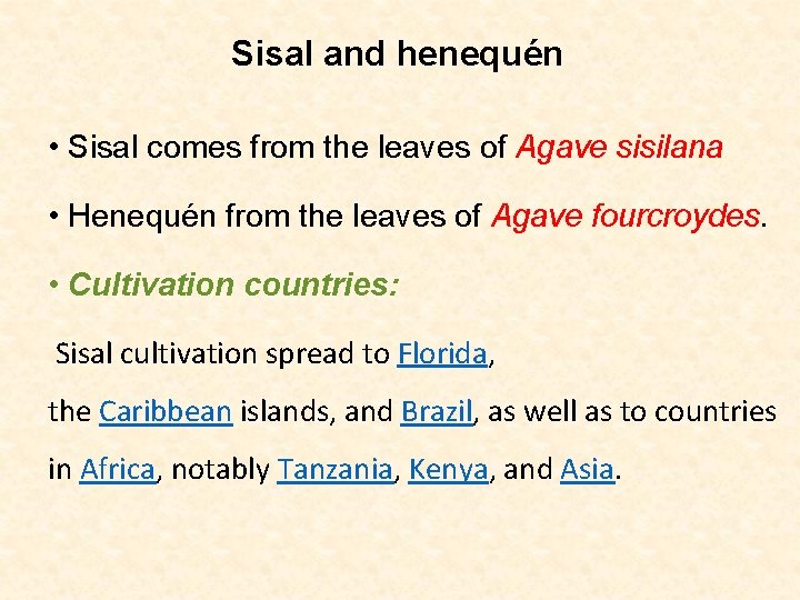 Sisal and henequén • Sisal comes from the leaves of Agave sisilana • Henequén