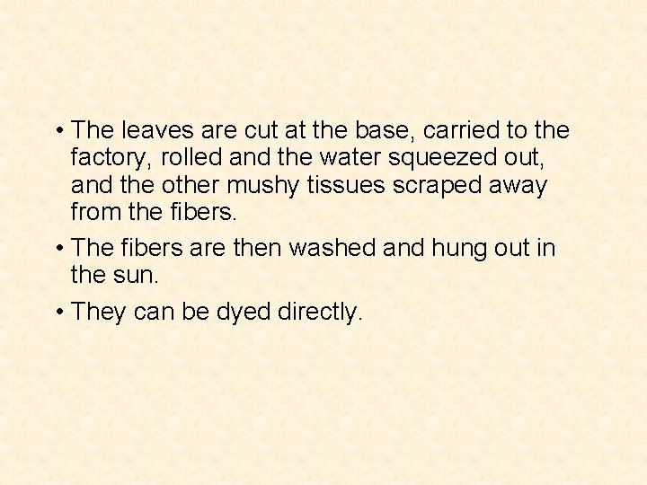  • The leaves are cut at the base, carried to the factory, rolled