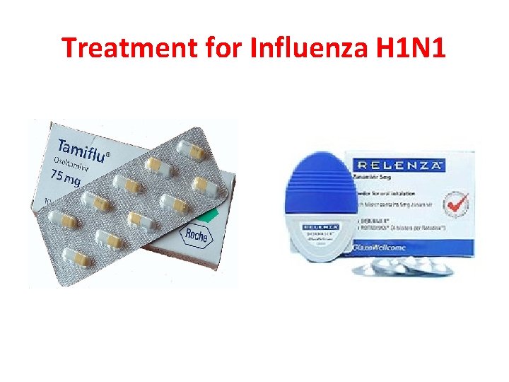 Treatment for Influenza H 1 N 1 