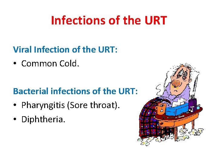 Infections of the URT Viral Infection of the URT: • Common Cold. Bacterial infections