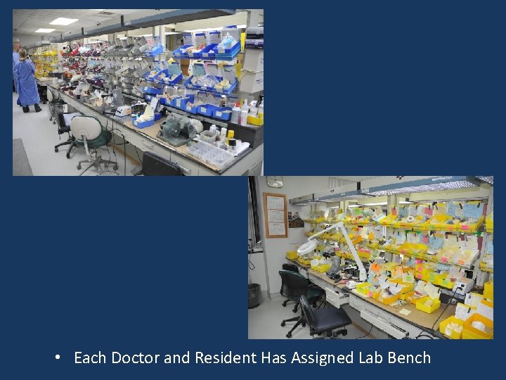  • Each Doctor and Resident Has Assigned Lab Bench 