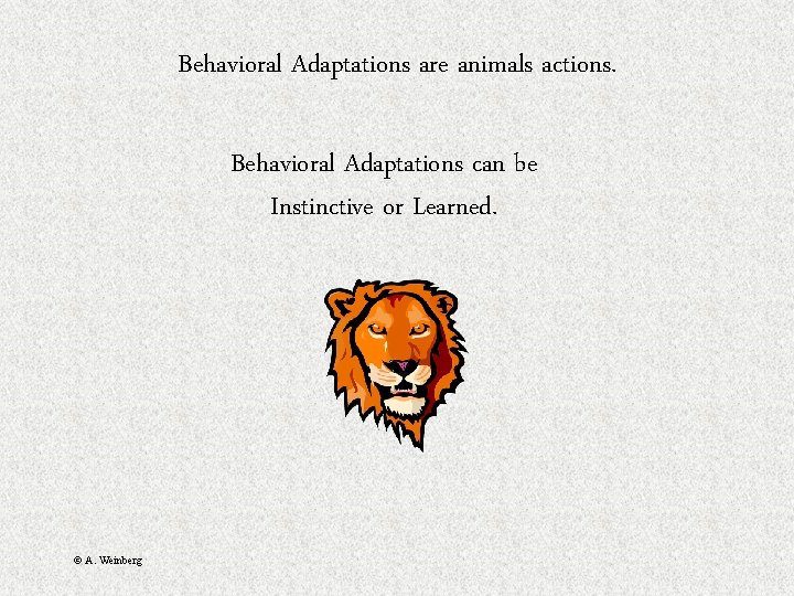 Behavioral Adaptations are animals actions. Behavioral Adaptations can be Instinctive or Learned. © A.