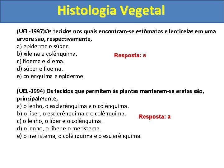 Histologia Vegetal (UEL-1997)Os tecidos nos quais encontram-se estômatos e lenticelas em uma árvore são,