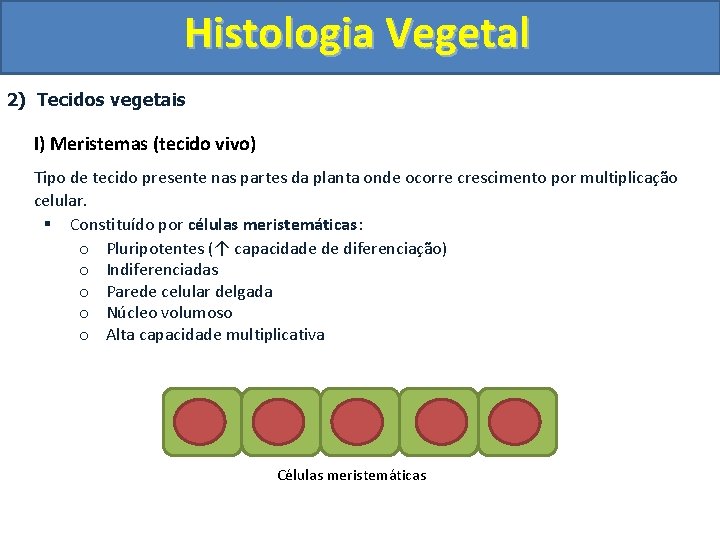Histologia Vegetal 2) Tecidos vegetais I) Meristemas (tecido vivo) Tipo de tecido presente nas