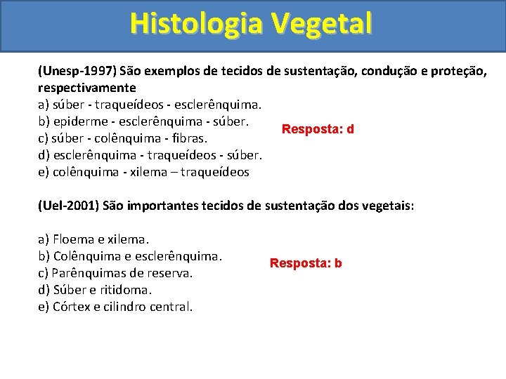 Histologia Vegetal (Unesp-1997) São exemplos de tecidos de sustentação, condução e proteção, respectivamente a)