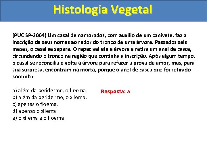 Histologia Vegetal (PUC SP-2004) Um casal de namorados, com auxílio de um canivete, faz