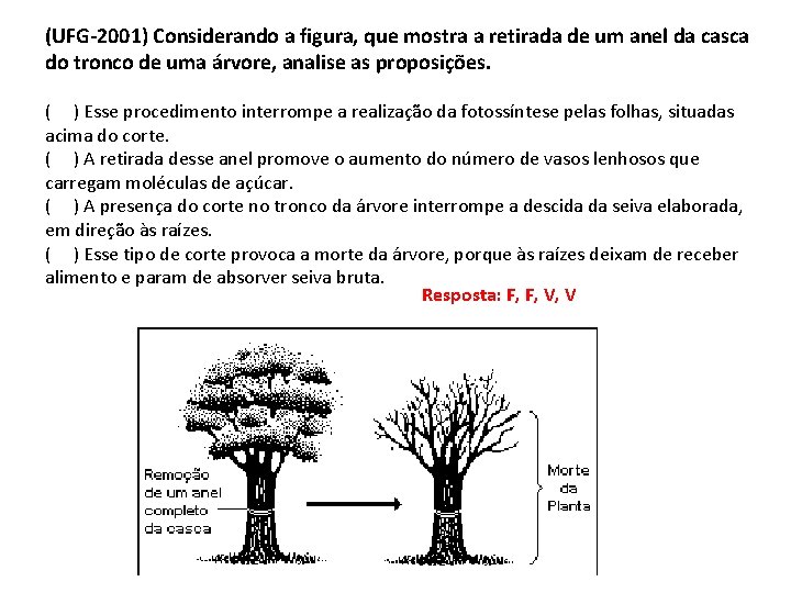 (UFG-2001) Considerando a figura, que mostra a retirada de um anel da casca do