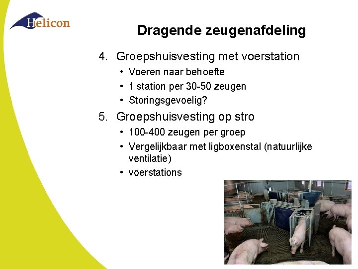 Dragende zeugenafdeling 4. Groepshuisvesting met voerstation • Voeren naar behoefte • 1 station per