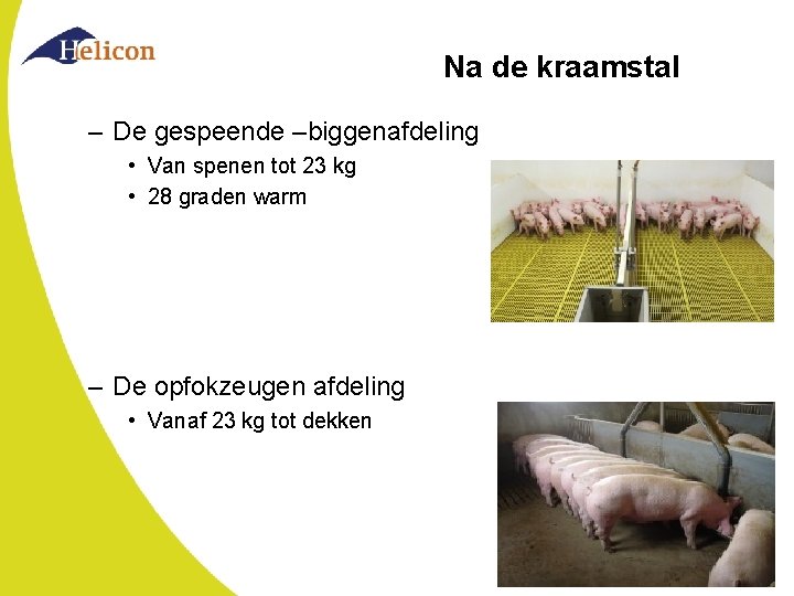 Na de kraamstal – De gespeende –biggenafdeling • Van spenen tot 23 kg •
