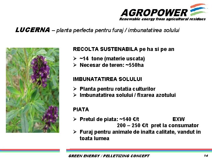 Renewable energy from agricultural residues LUCERNA – planta perfecta pentru furaj / imbunatatirea solului