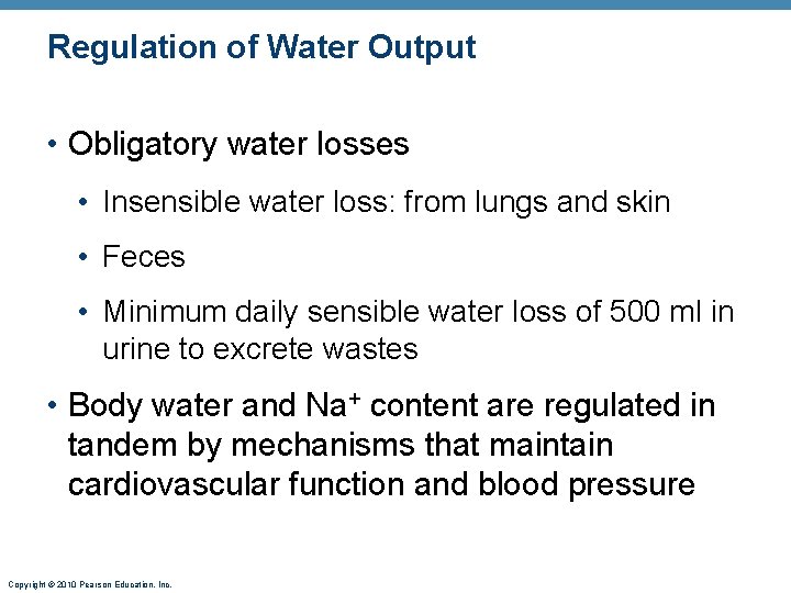 Regulation of Water Output • Obligatory water losses • Insensible water loss: from lungs