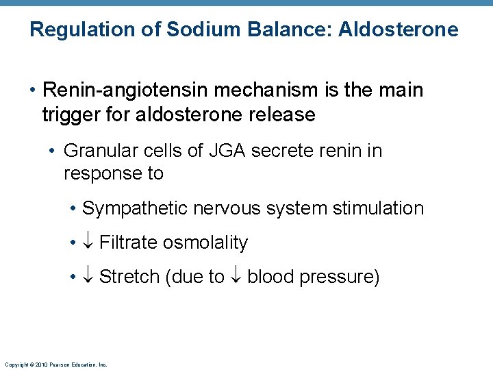 Regulation of Sodium Balance: Aldosterone • Renin-angiotensin mechanism is the main trigger for aldosterone