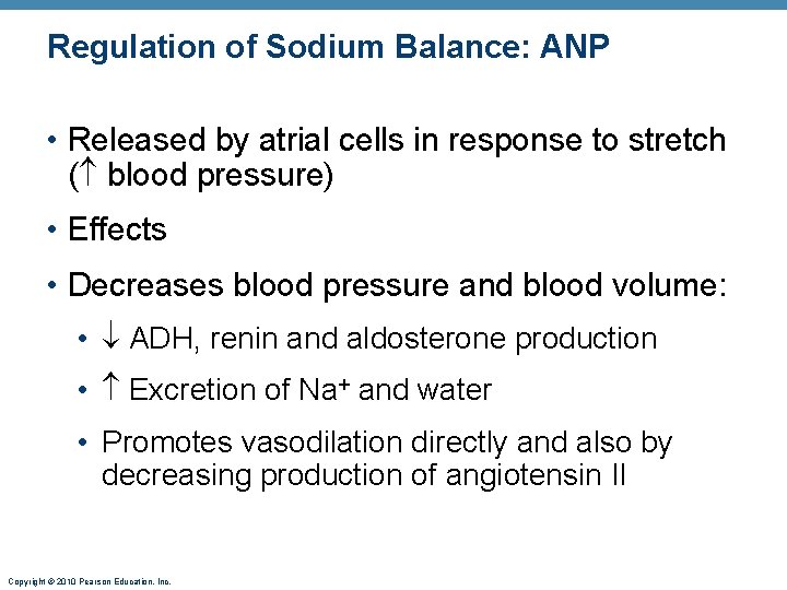 Regulation of Sodium Balance: ANP • Released by atrial cells in response to stretch