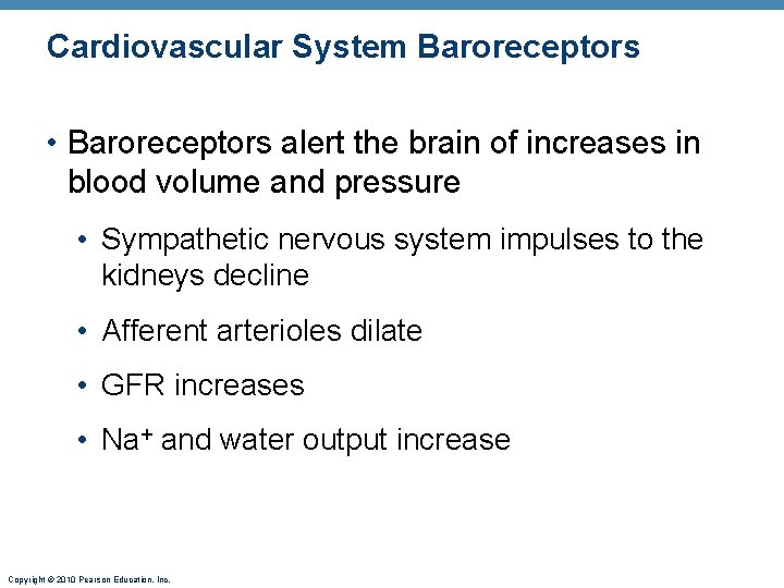 Cardiovascular System Baroreceptors • Baroreceptors alert the brain of increases in blood volume and