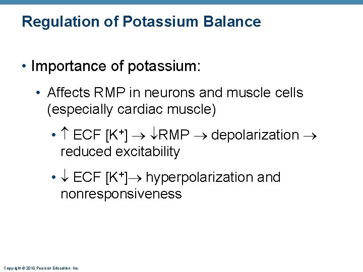 Regulation of Potassium Balance • Importance of potassium: • Affects RMP in neurons and