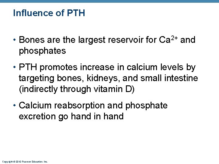 Influence of PTH • Bones are the largest reservoir for Ca 2+ and phosphates