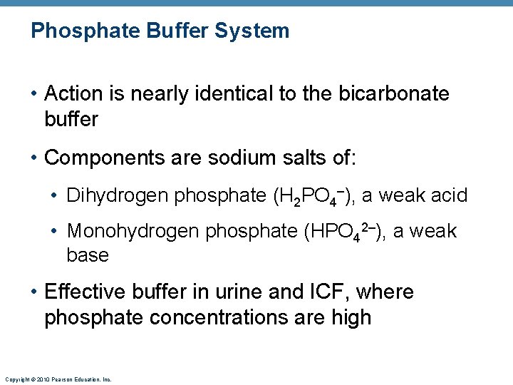 Phosphate Buffer System • Action is nearly identical to the bicarbonate buffer • Components