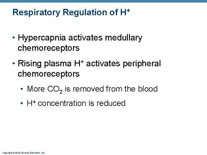 Respiratory Regulation of H+ • Hypercapnia activates medullary chemoreceptors • Rising plasma H+ activates