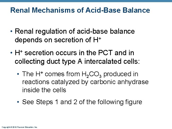 Renal Mechanisms of Acid-Base Balance • Renal regulation of acid-base balance depends on secretion