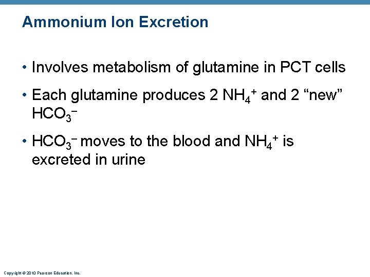 Ammonium Ion Excretion • Involves metabolism of glutamine in PCT cells • Each glutamine