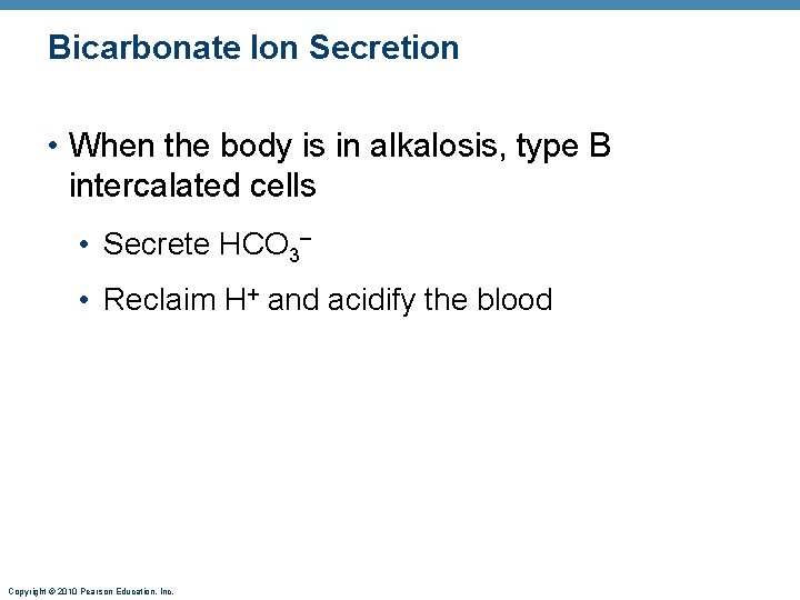 Bicarbonate Ion Secretion • When the body is in alkalosis, type B intercalated cells