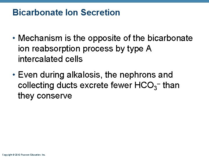 Bicarbonate Ion Secretion • Mechanism is the opposite of the bicarbonate ion reabsorption process