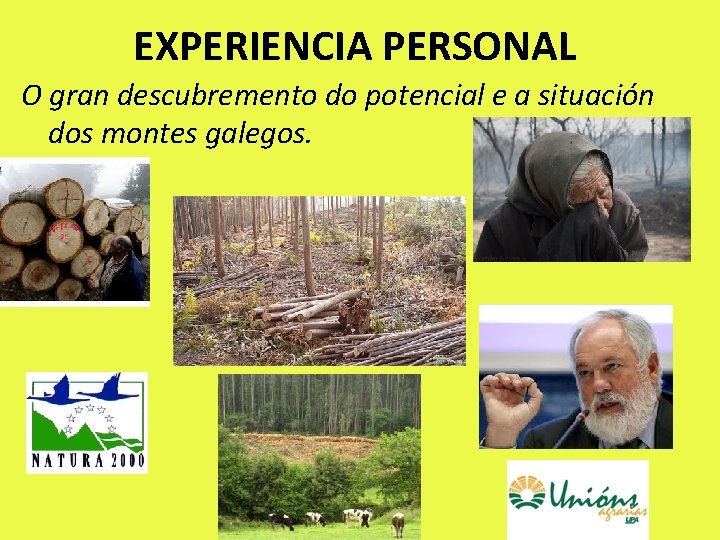 EXPERIENCIA PERSONAL O gran descubremento do potencial e a situación dos montes galegos. 