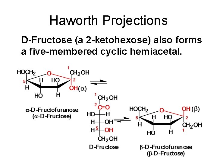 Haworth Projections D-Fructose (a 2 -ketohexose) also forms a five-membered cyclic hemiacetal. 