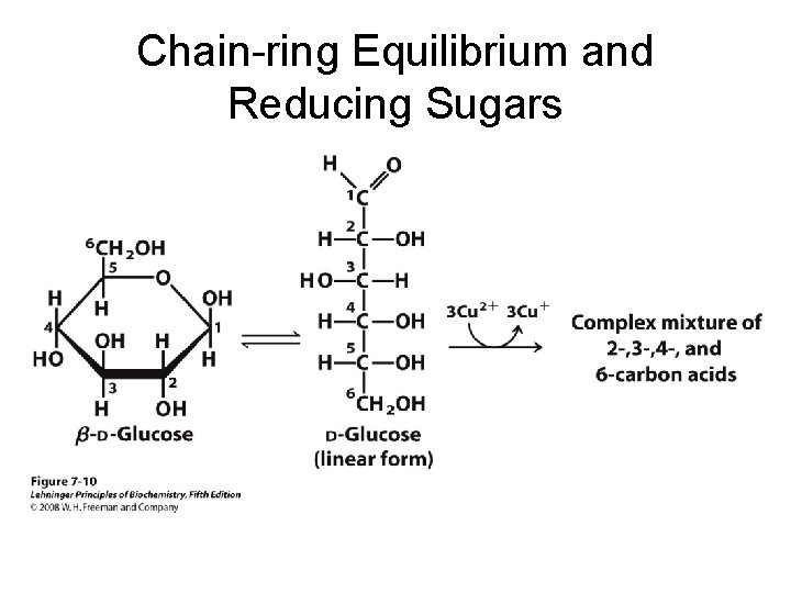 Chain-ring Equilibrium and Reducing Sugars 