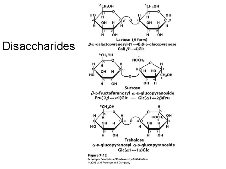 Disaccharides 