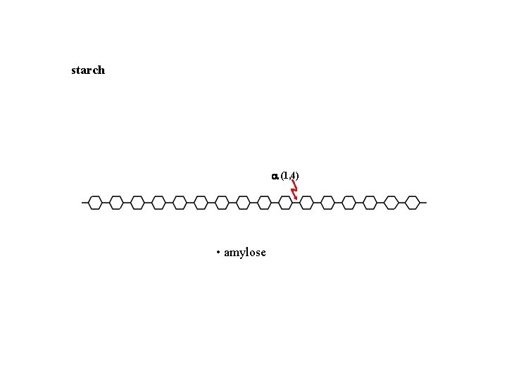 starch (1, 4) • amylose • amylopectin • dextrins 