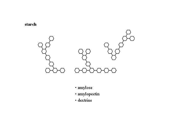 starch • amylose • amylopectin • dextrins 